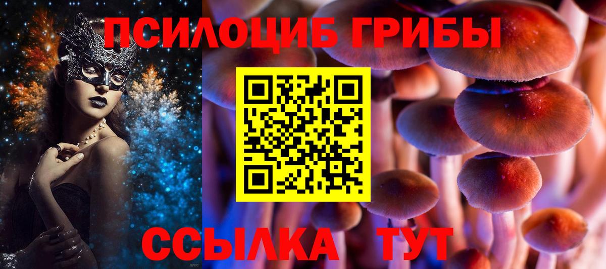 Отрадный  Псилоцибиновые грибы прущие грибы  Вход с VPN 